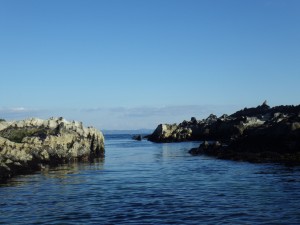 城ヶ島近くの岩礁地帯