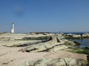 剣崎の隣の浜の様子1