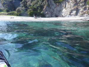 大浦海水浴場